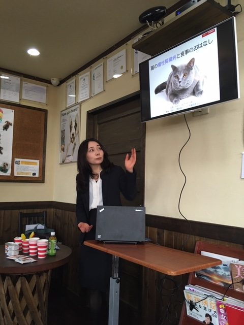 猫の慢性腎臓病と食事のおはなし あや動物病院 奈良県奈良市